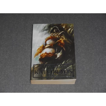 Harrison Fawcett - Katedrális I. kötet (Fonyódi Tibor)