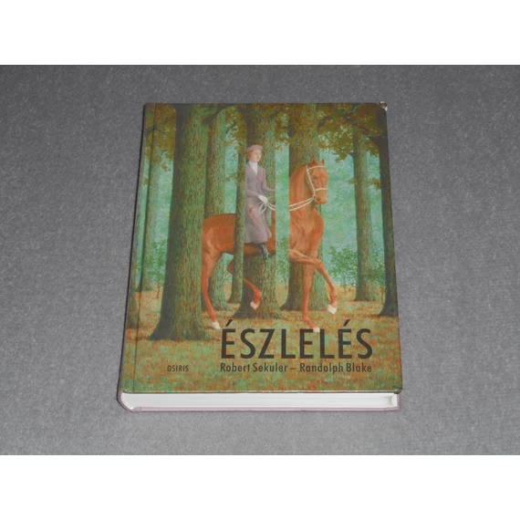 Robert Sekuler, Randolph Blake - Észlelés