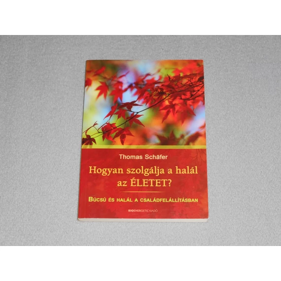 Thomas Schafer - Hogyan szolgálja a halál az életet? - Búcsú és halál a családfelállításban