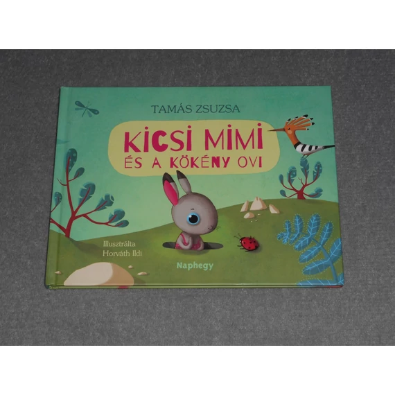 Tamás Zsuzsa - Kicsi Mimi és a kökény ovi