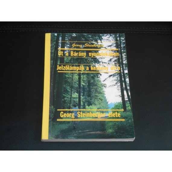 Georg Steinberger élete - Út a Bárány nyomdokában, Jelzőlámpák a keskeny útra (Steinberger György)