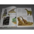 Kép 6/8 - Helmut Werner - 1000 dinoszaurusz - Dinoszauruszok, repülő őshüllők, tengeri hüllők és más ősgyíkok