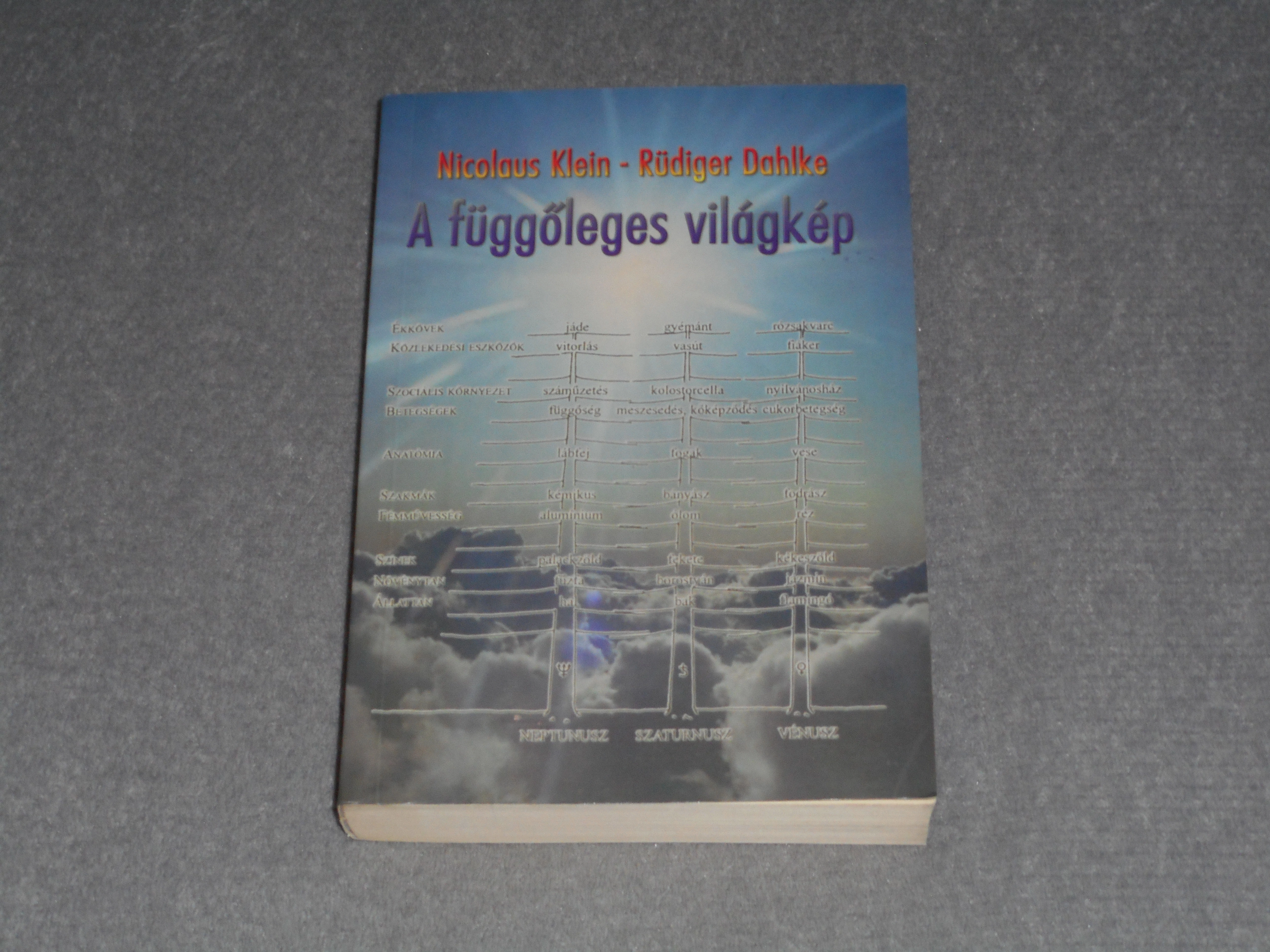 Nicolaus Klein, Ruediger Dahlke - A függőleges világkép - Az asztrológiai ősprincípiumokon alapuló, jelképes gondolkodás módszere