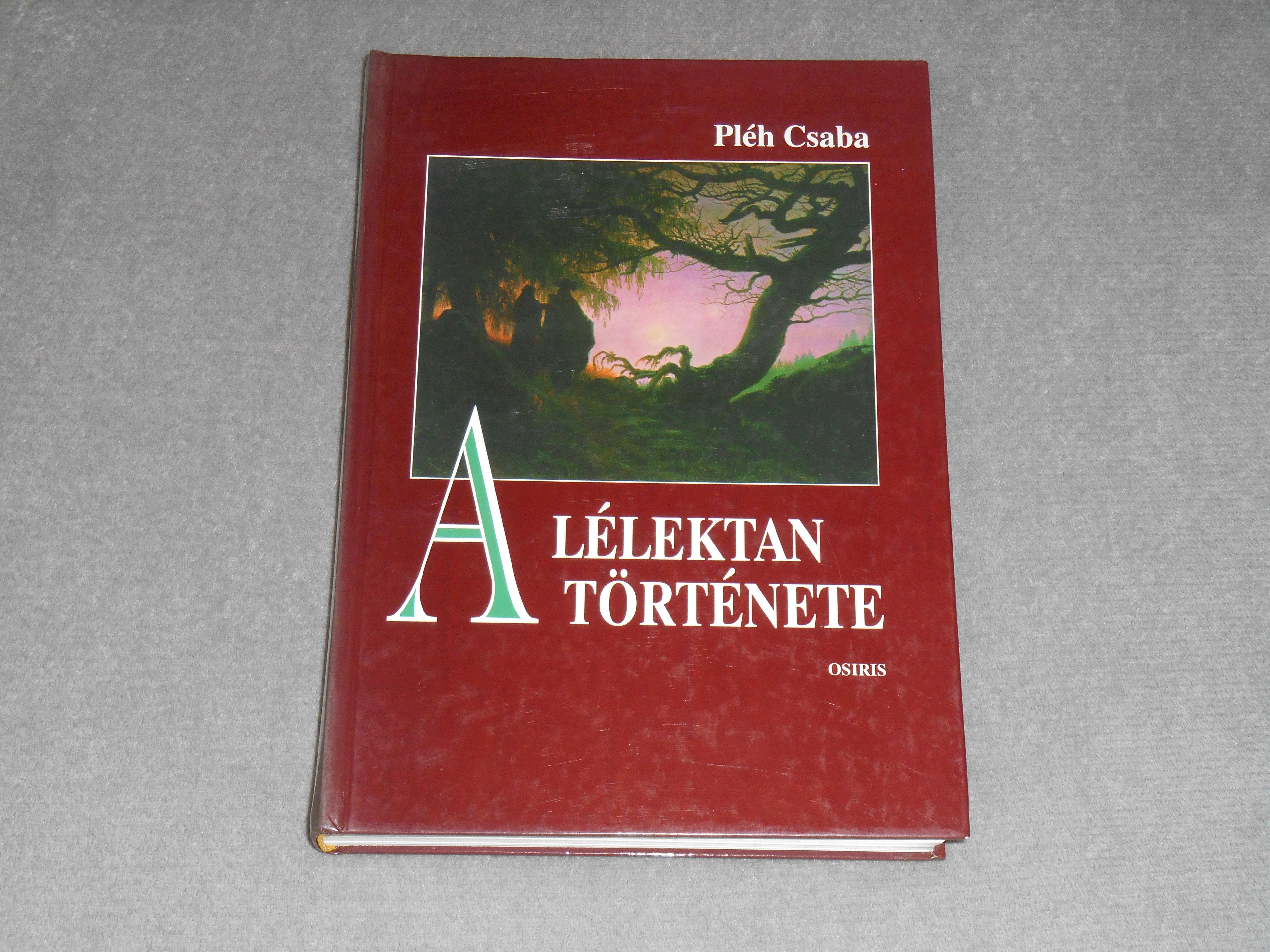 Pléh Csaba - A lélektan története