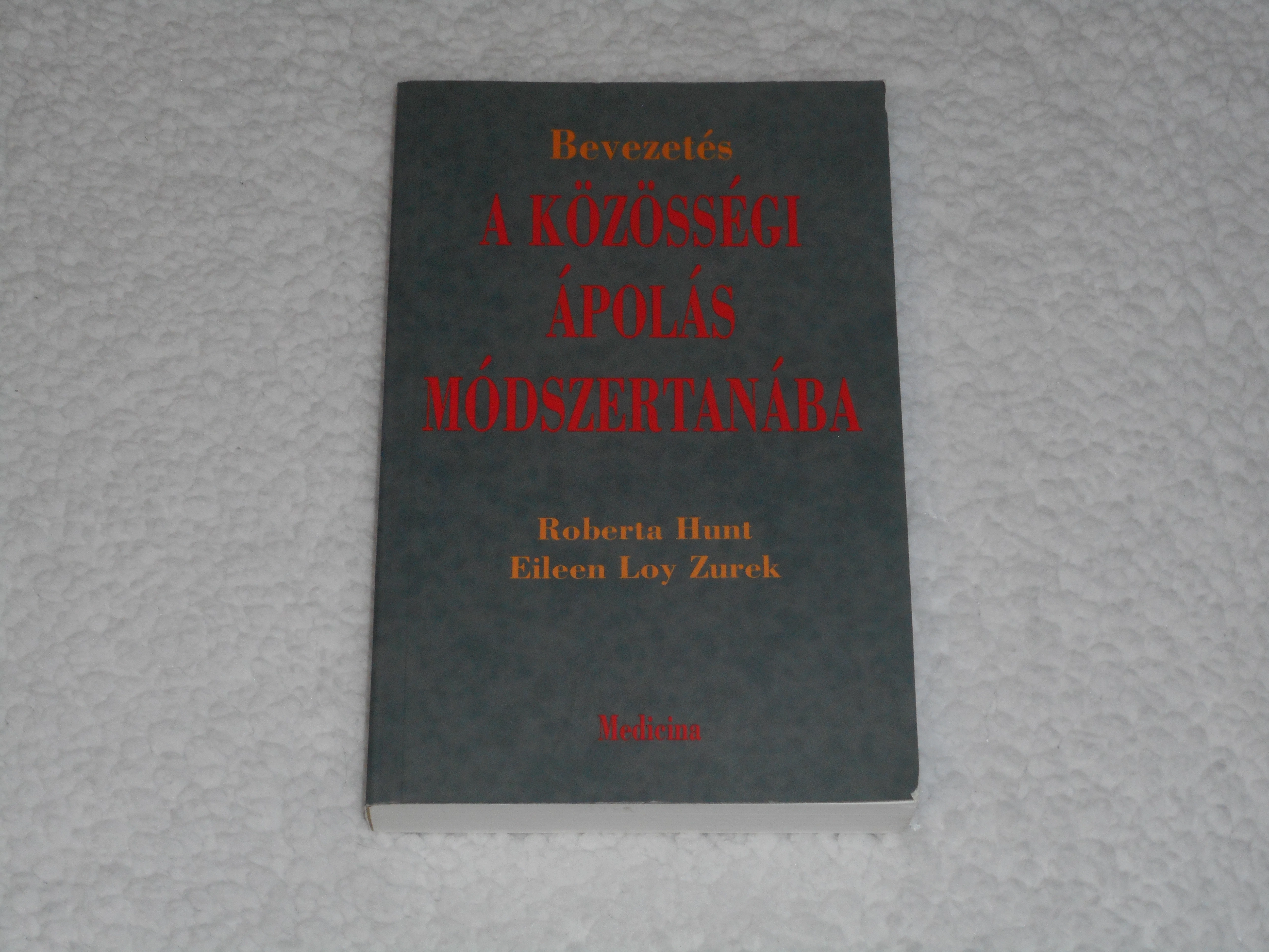 Roberta Hunt, Eileen Loy Zurek - Bevezetés a közösségi ápolás módszertanába