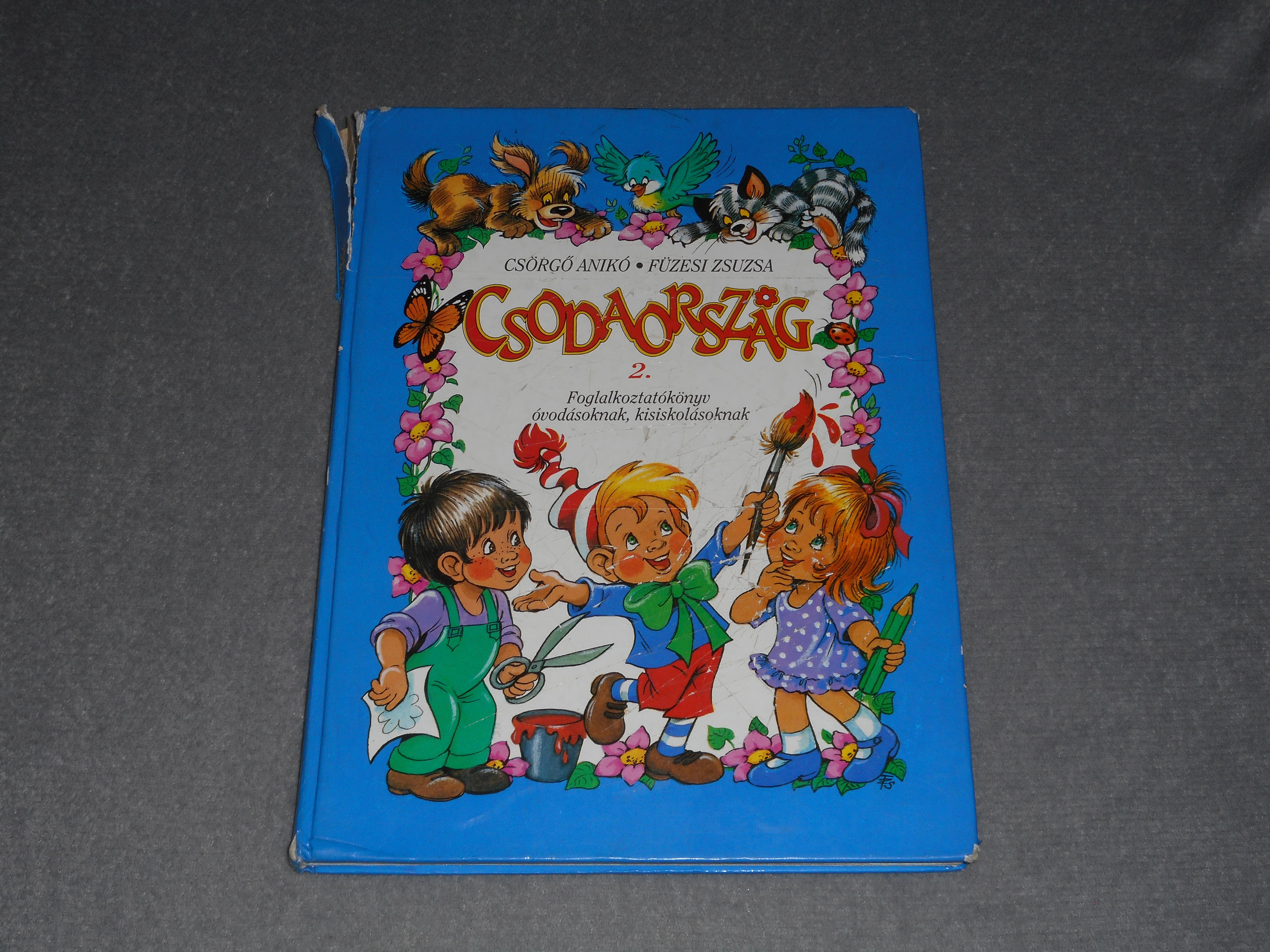Csodaország 2. - Kék könyv - Csörgő Anikó, Füzesi Zsuzsa - Foglalkoztatókönyv óvodásoknak, kisiskolásoknak