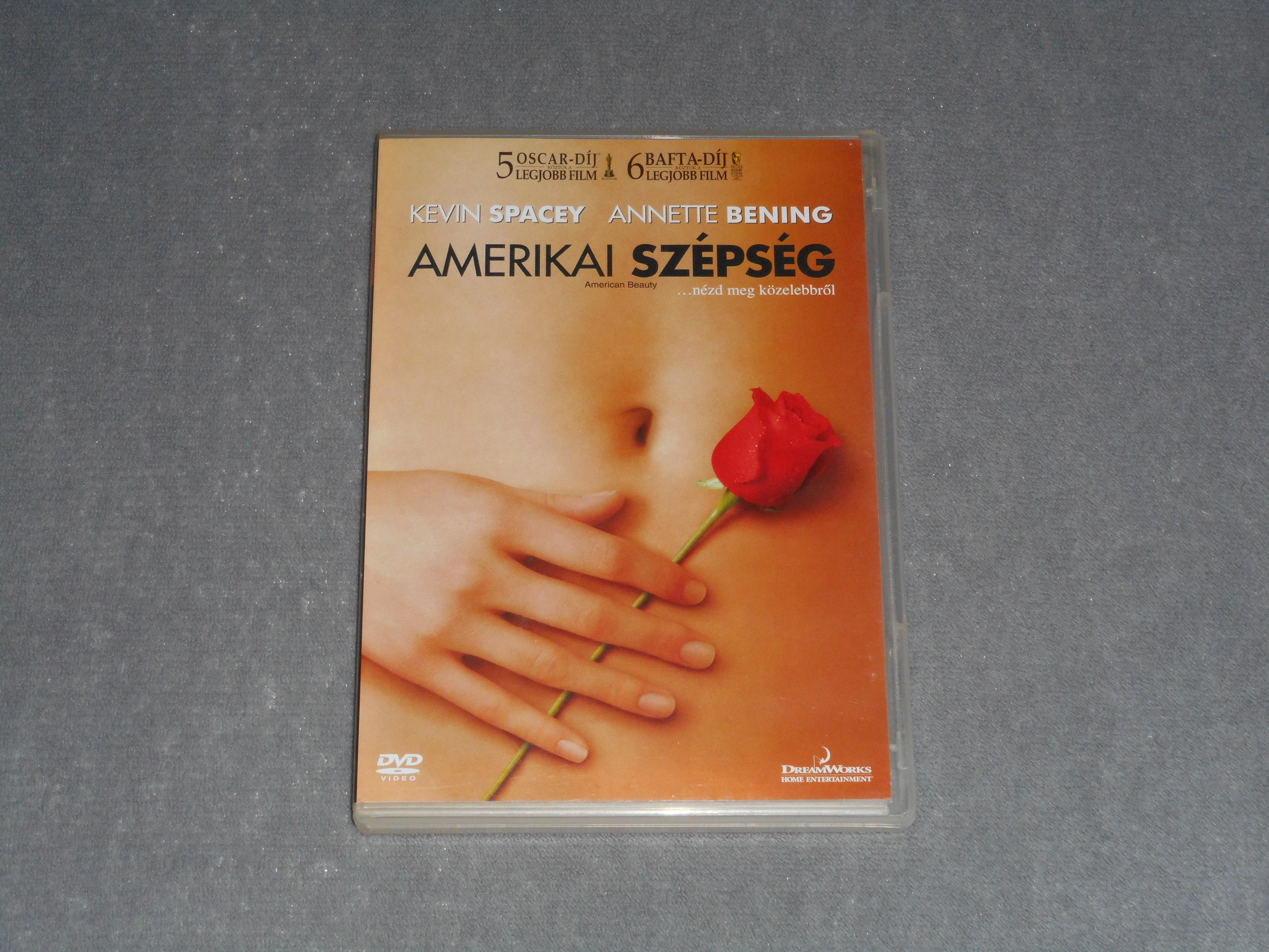 Amerikai szépség (1999) DVD film