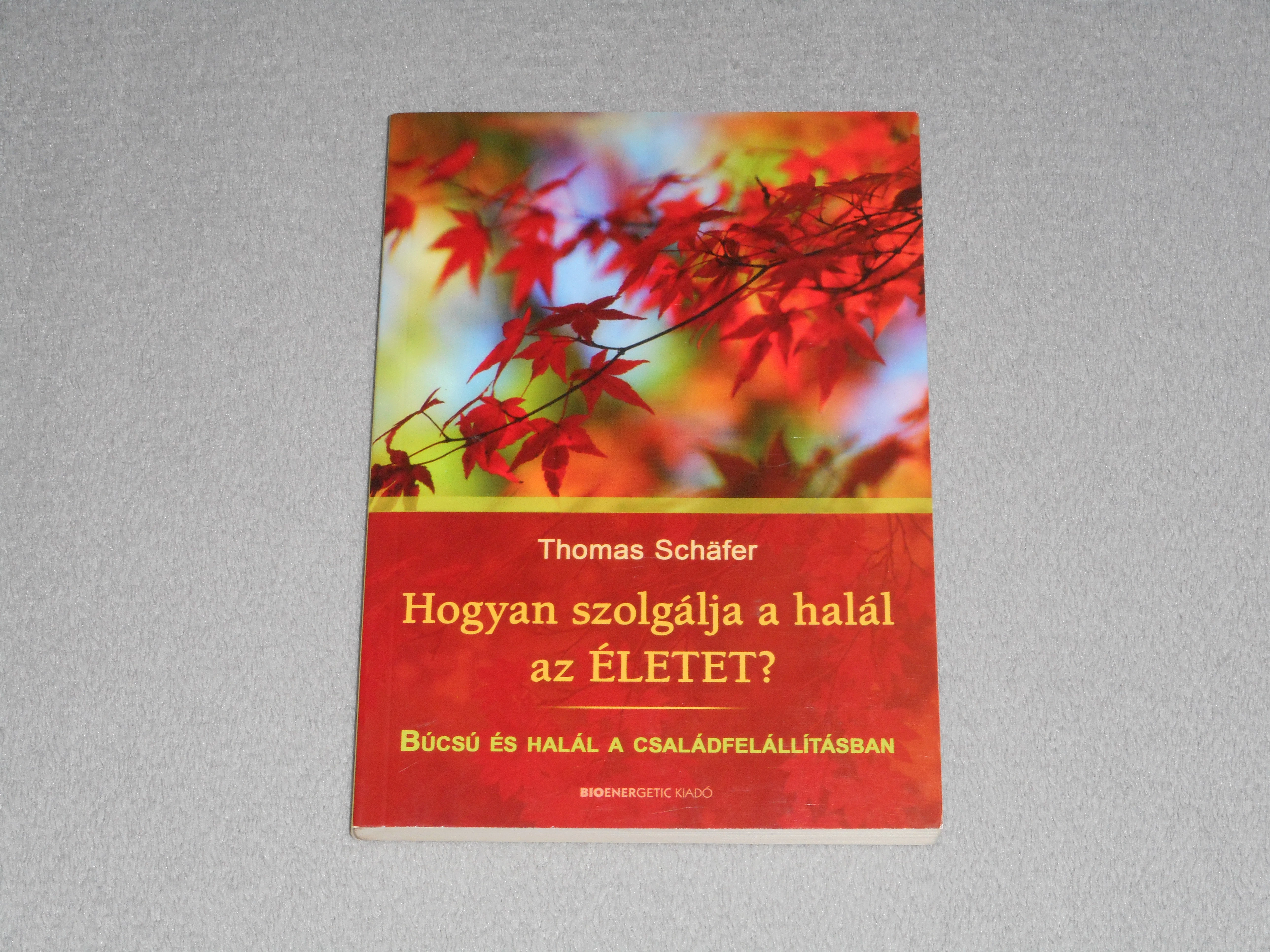 Thomas Schafer - Hogyan szolgálja a halál az életet? - Búcsú és halál a családfelállításban