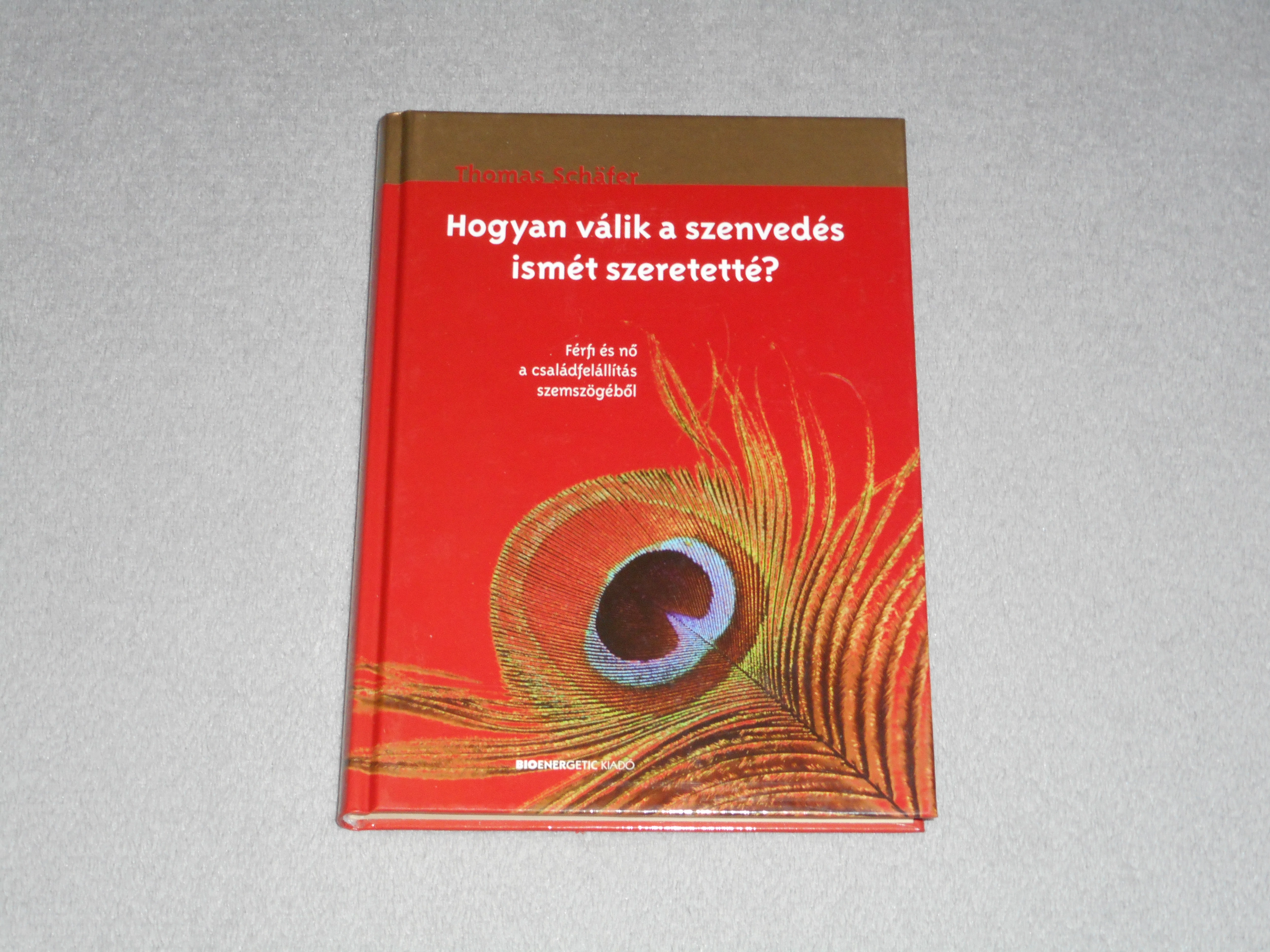 Thomas Schäfer - Hogyan válik a szenvedés ismét szeretetté? - Férfi és nő a családfelállítás szemszögéből