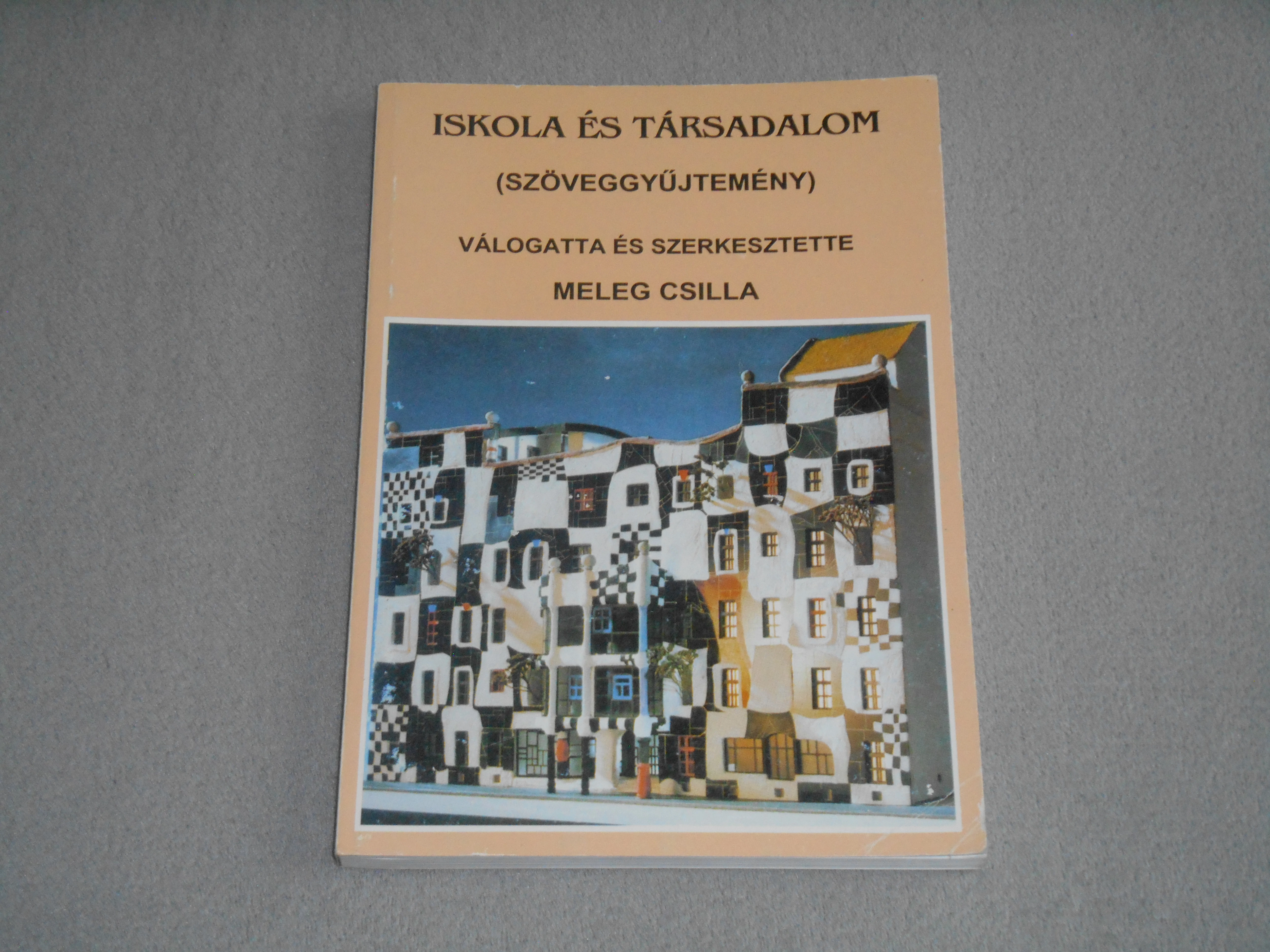 Iskola és társadalom (szöveggyűjtemény) - Meleg Csilla (szerk.)
