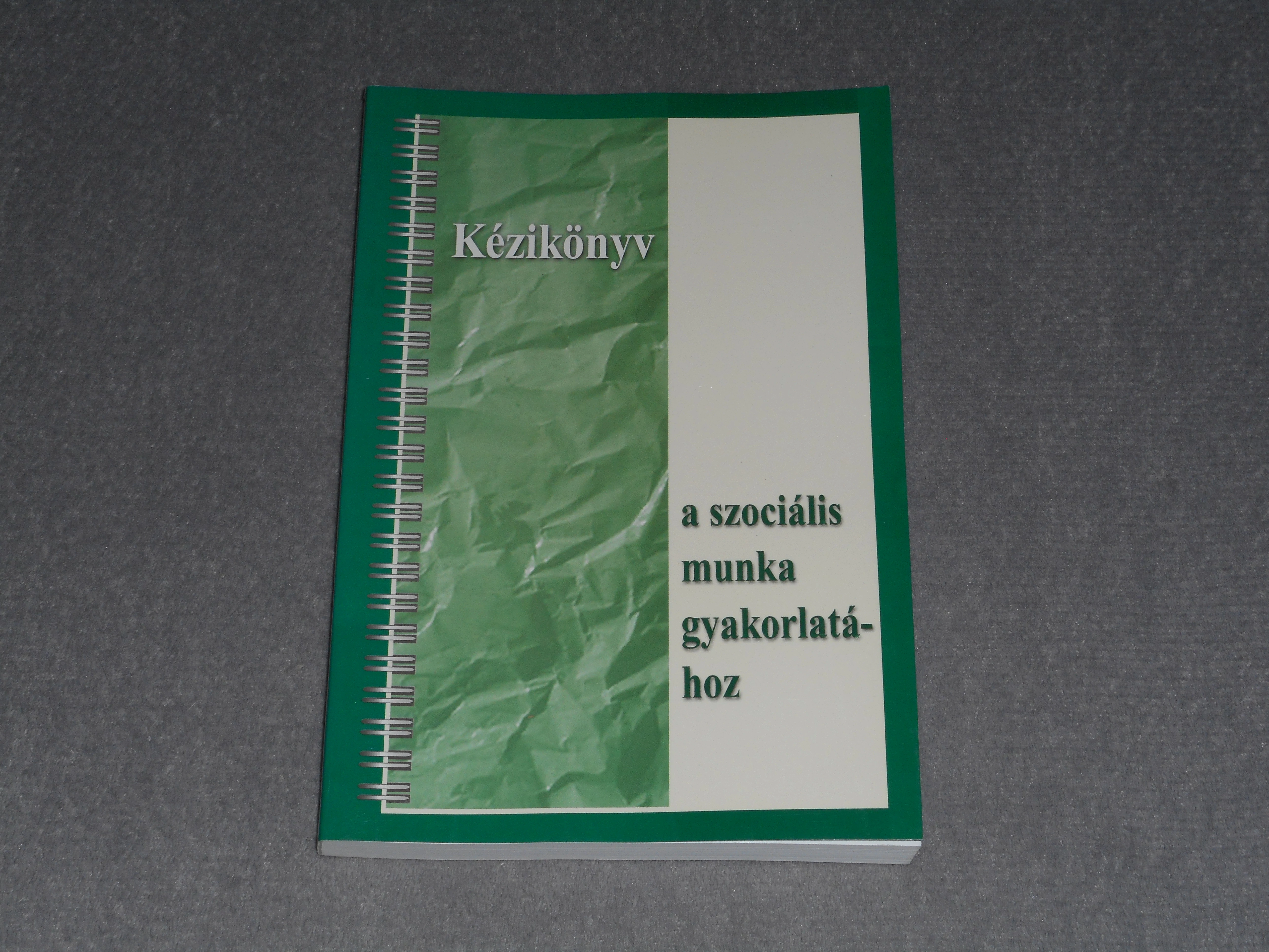 Somorjai Ildikó (szerk.) - Kézikönyv a szociális munka gyakorlatához