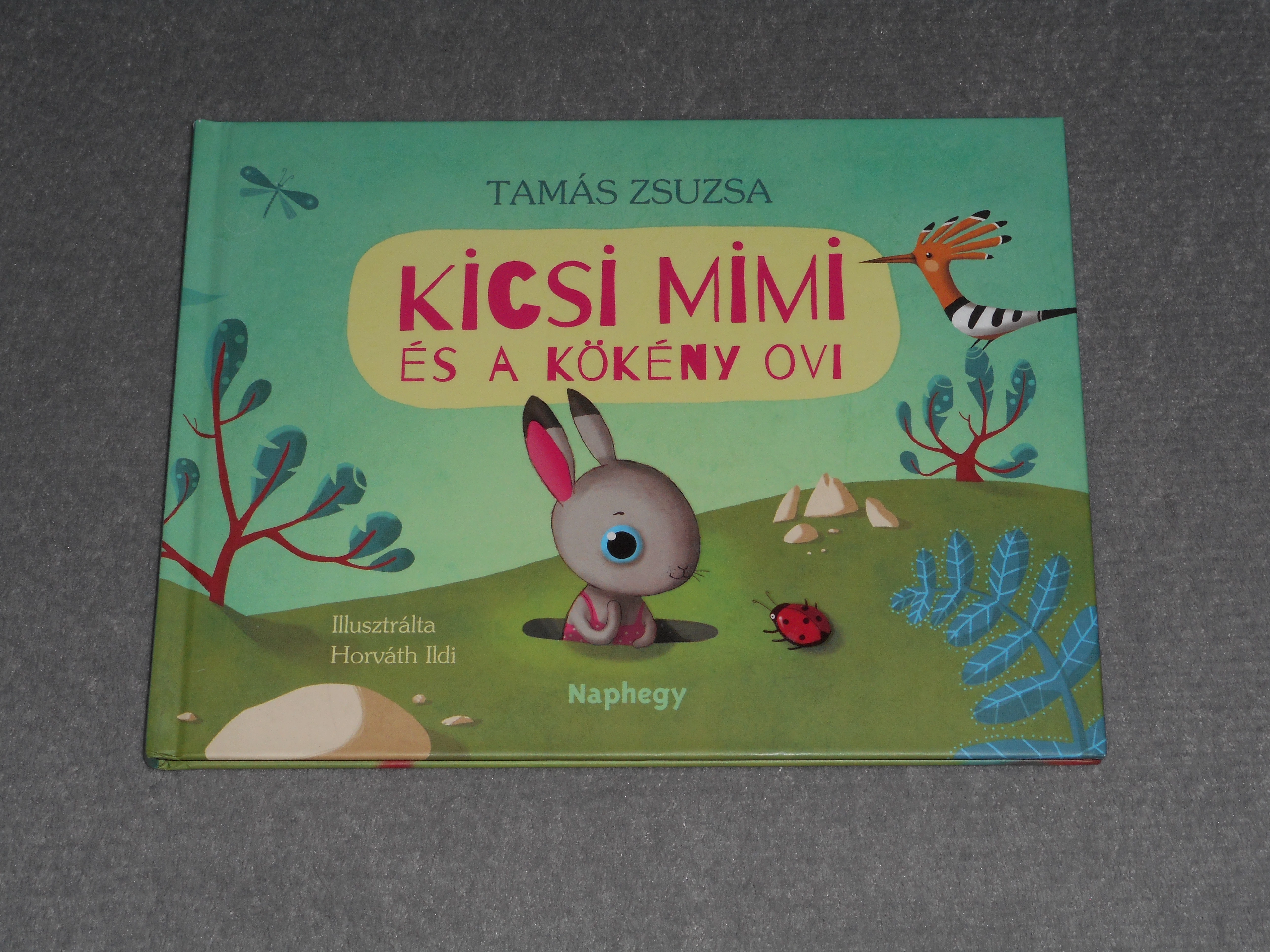 Tamás Zsuzsa - Kicsi Mimi és a kökény ovi