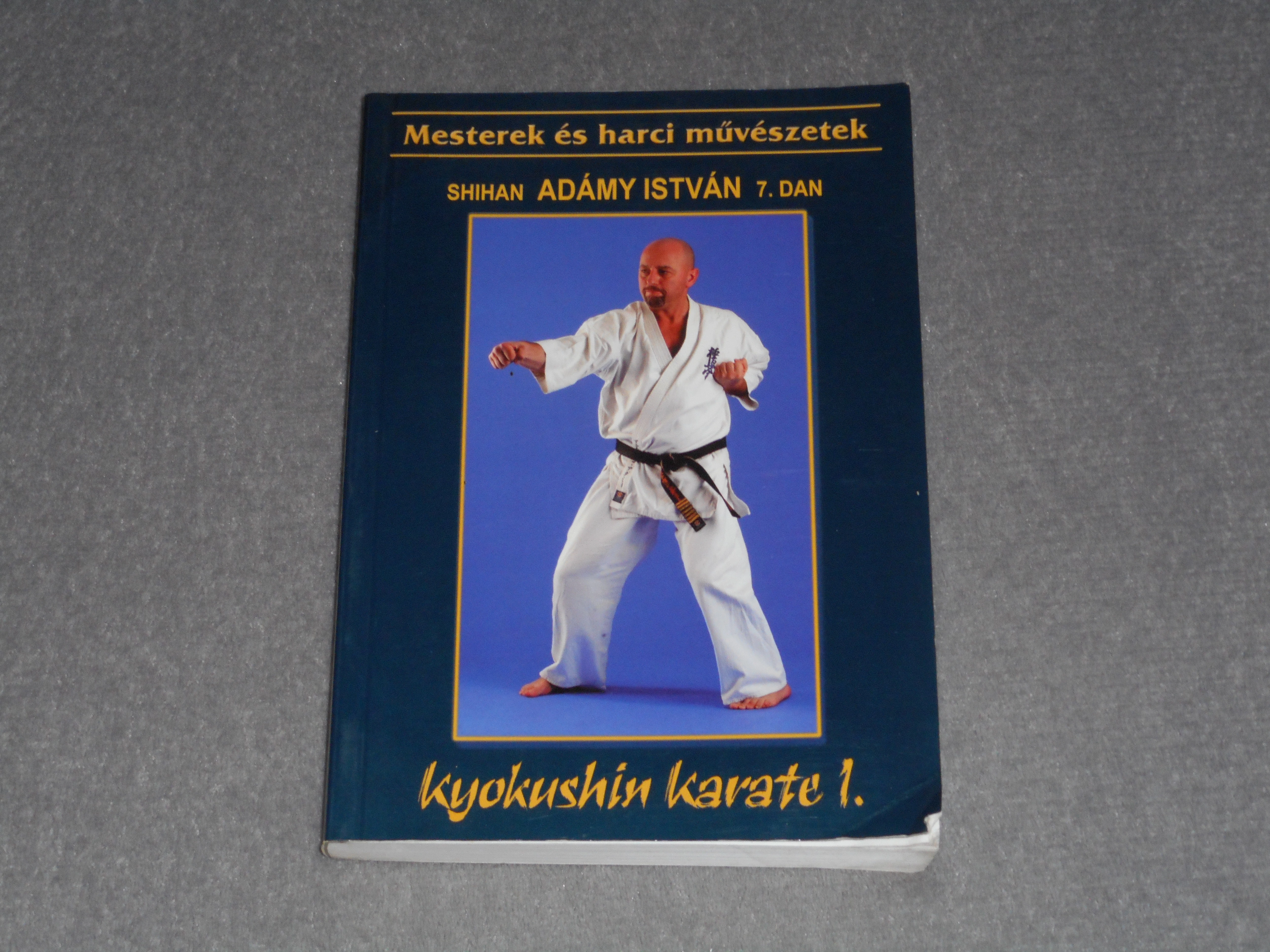 Adámy István - Kyokushin karate I. 1. - Mesterek és harci művészetek