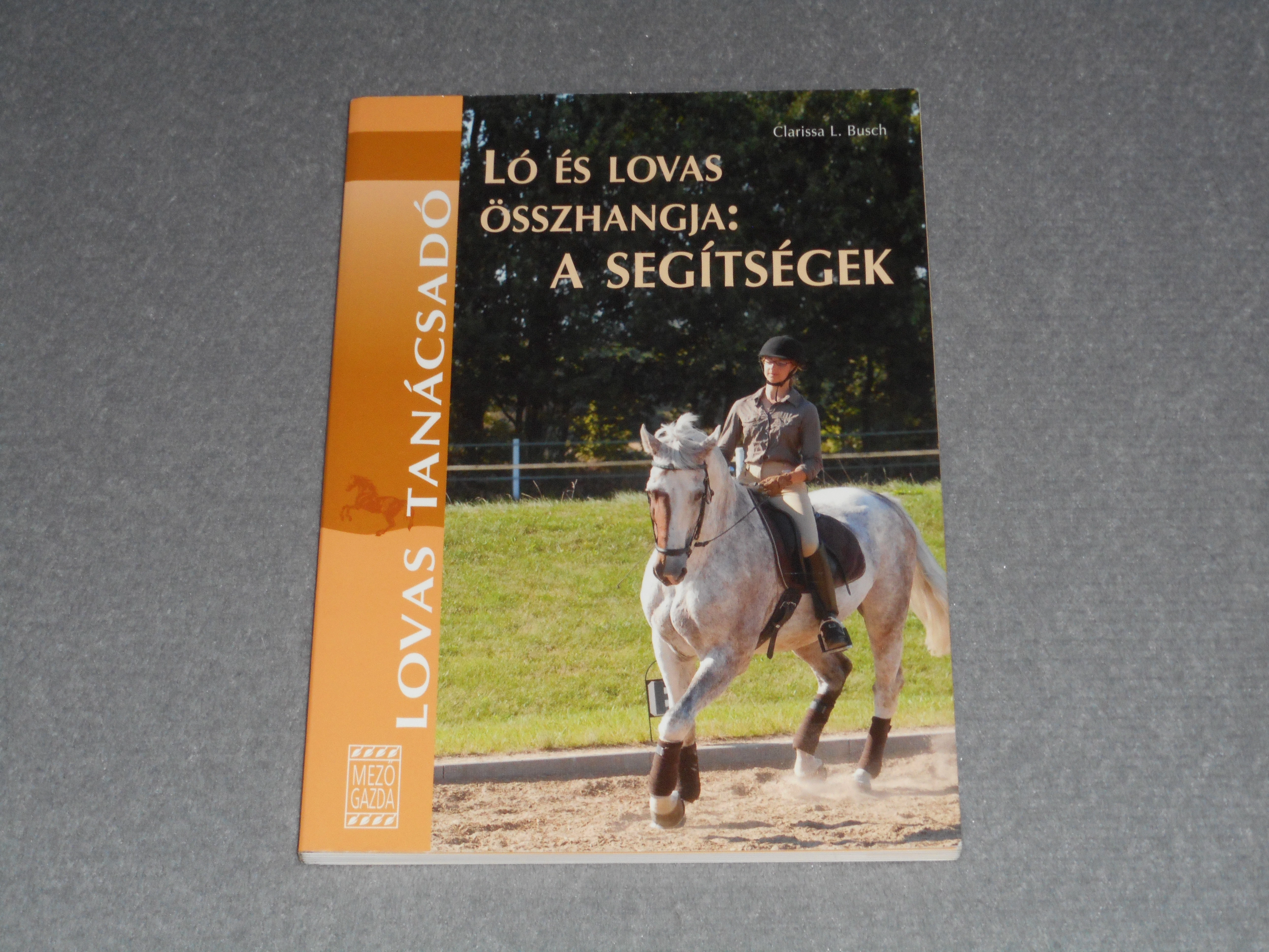 Clarissa L. Busch - Ló és lovas összhangja - A segítségek