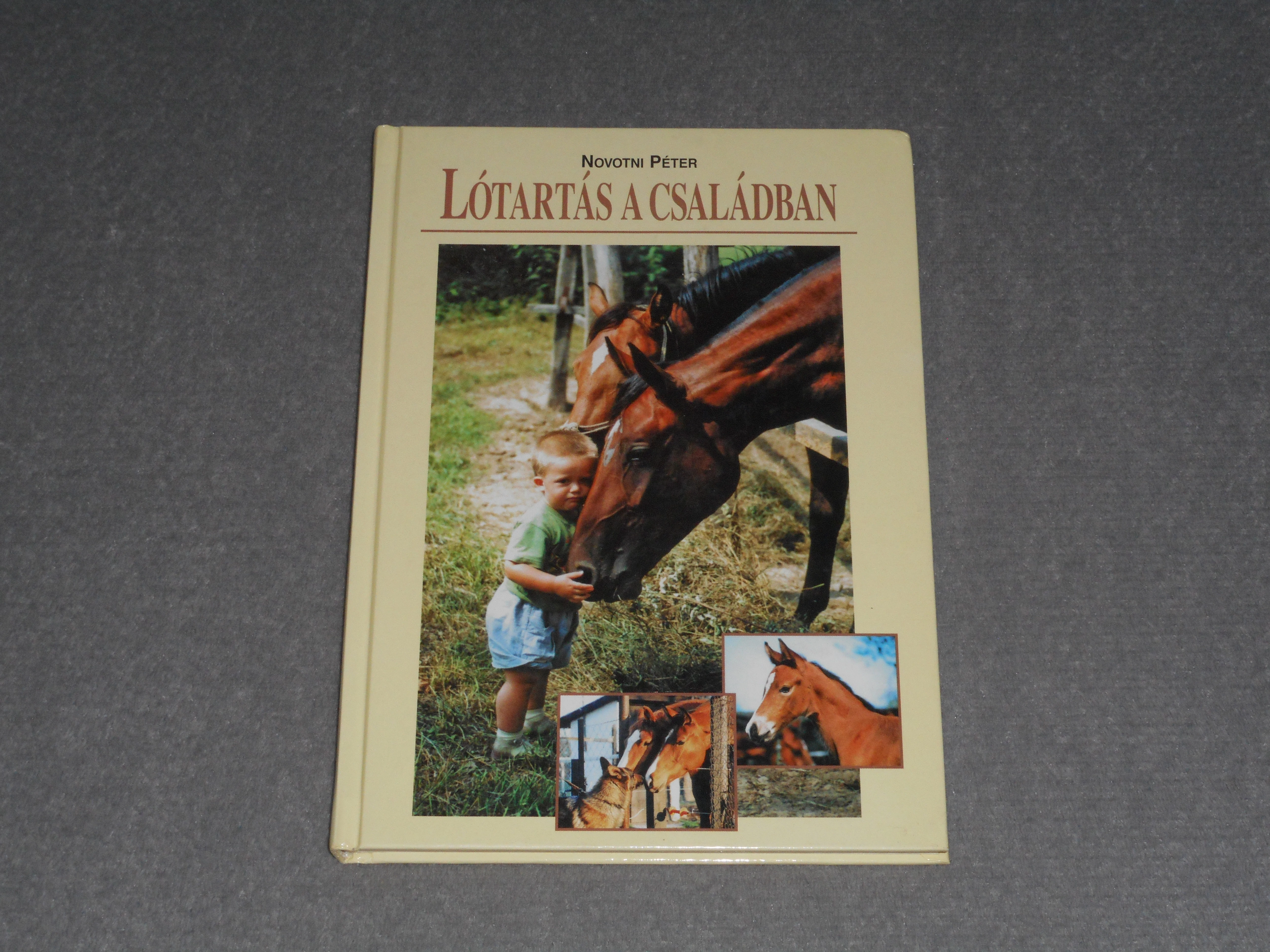 Novotni Péter - Lótartás a családban