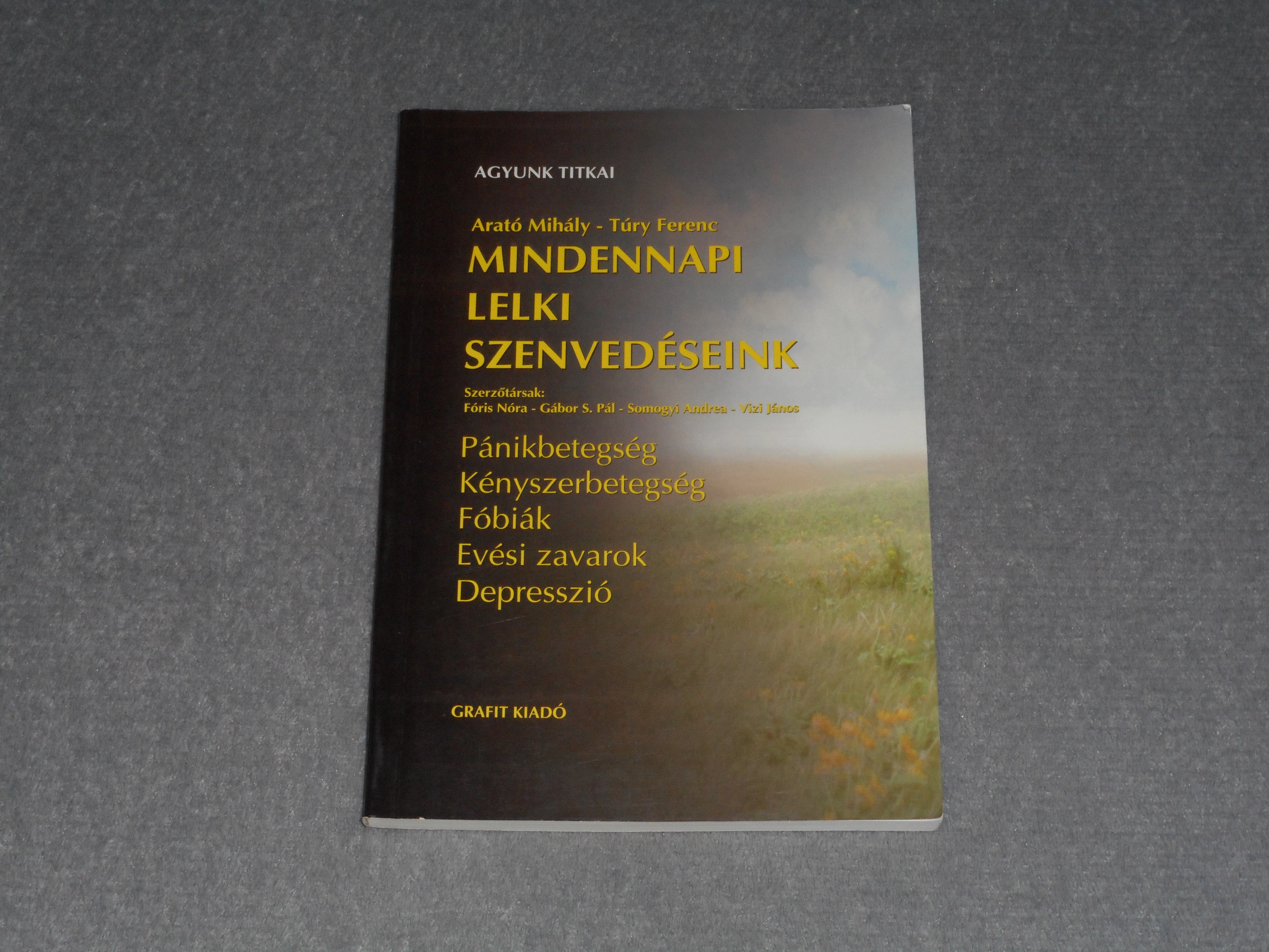 Arató Mihály, Túry Ferenc - Mindennapi lelki szenvedéseink - Pánikbetegség, Kényszerbetegség, Fóbiák, Evési zavarok, Depresszió