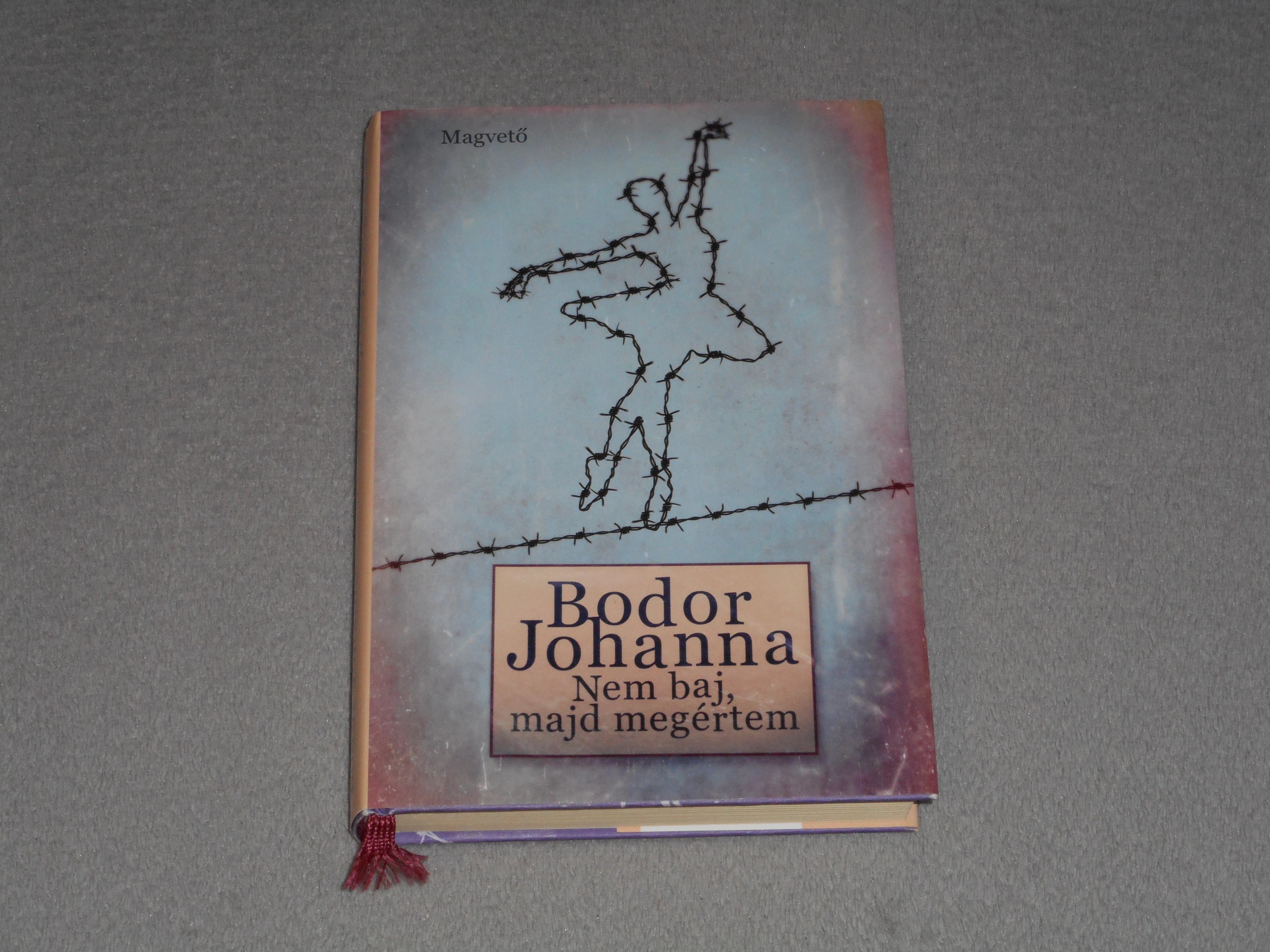 Bodor Johanna - Nem baj, majd megértem