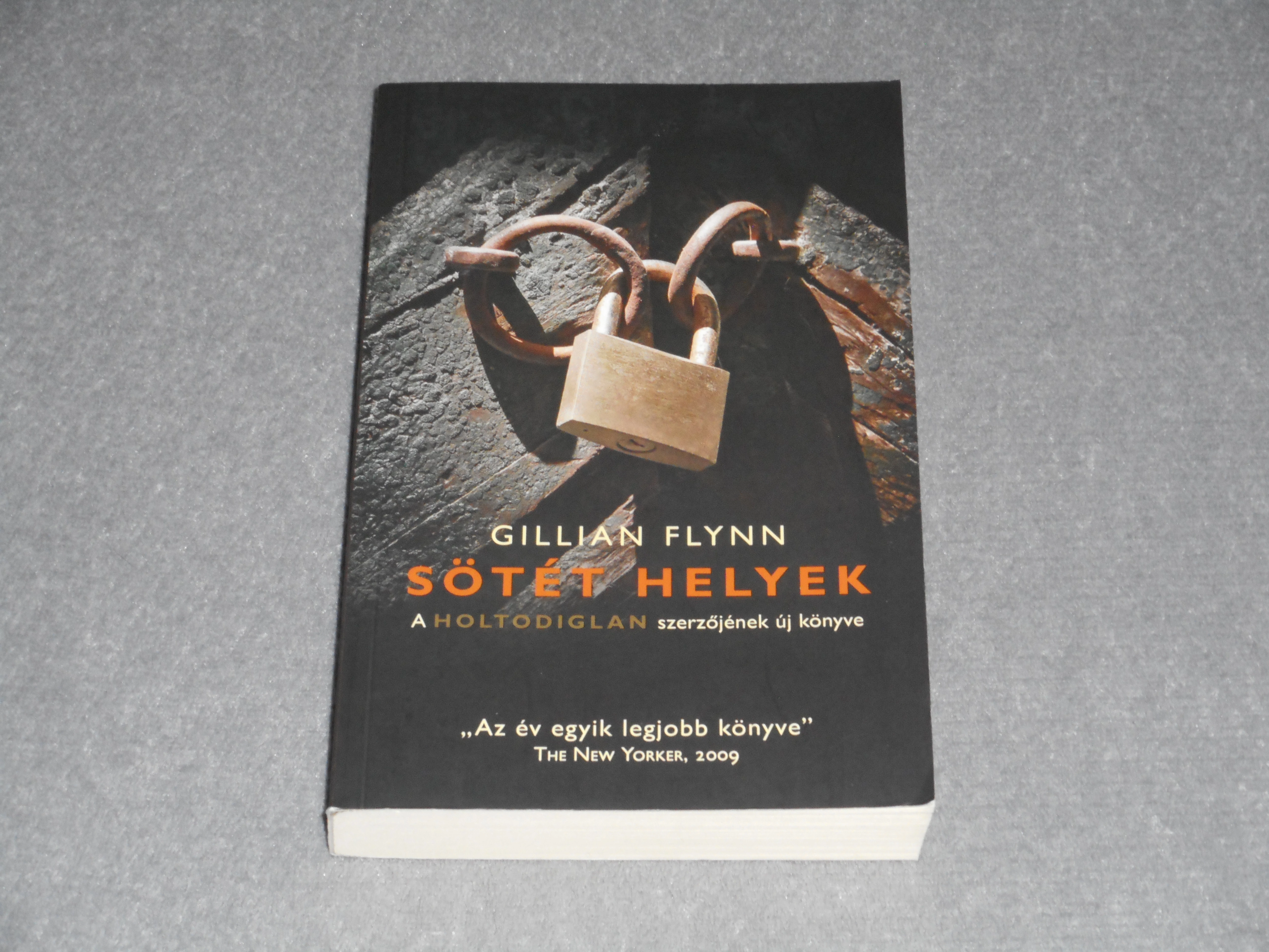Gillian Flynn - Sötét helyek