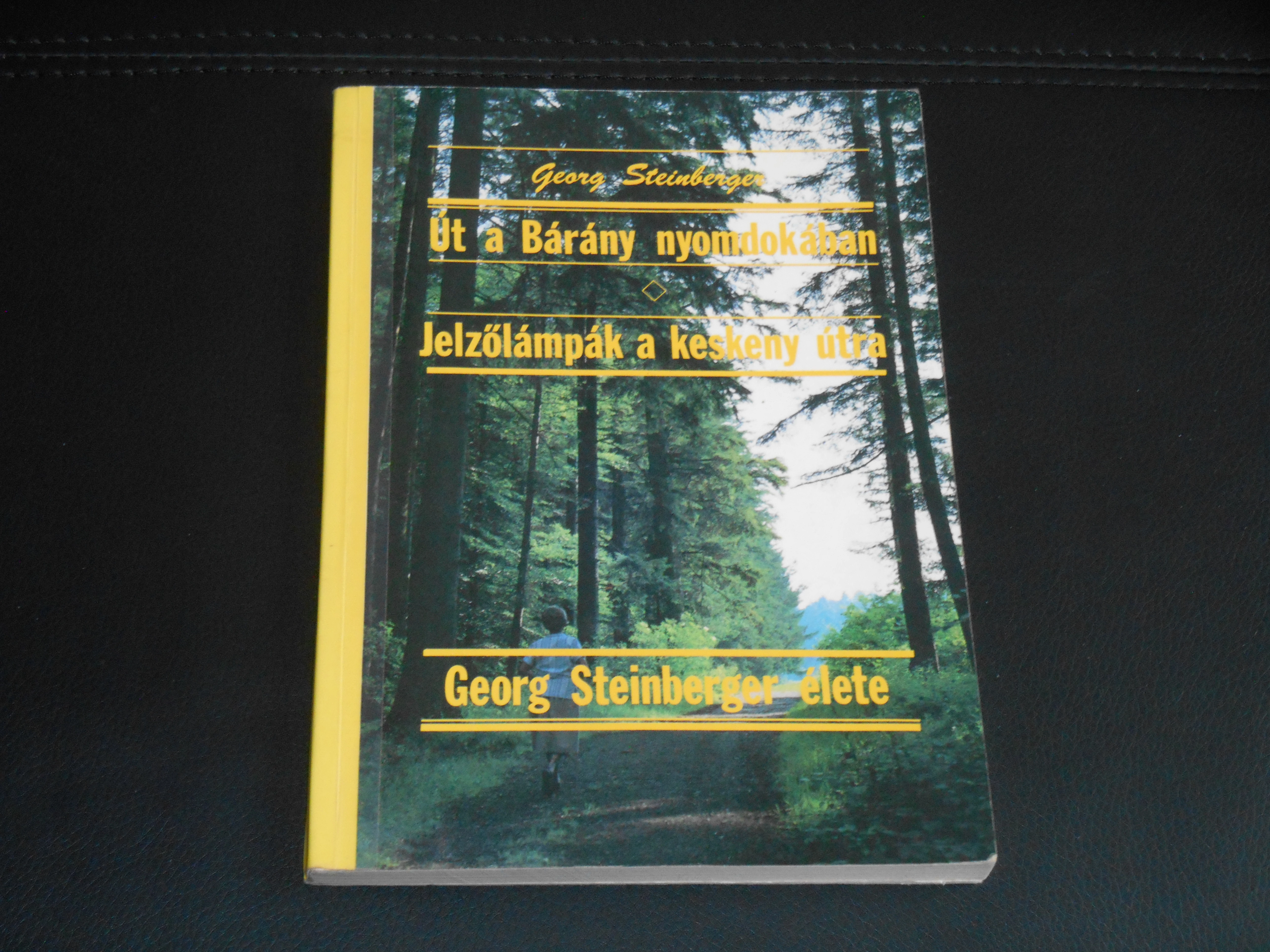 Georg Steinberger élete - Út a Bárány nyomdokában, Jelzőlámpák a keskeny útra (Steinberger György)