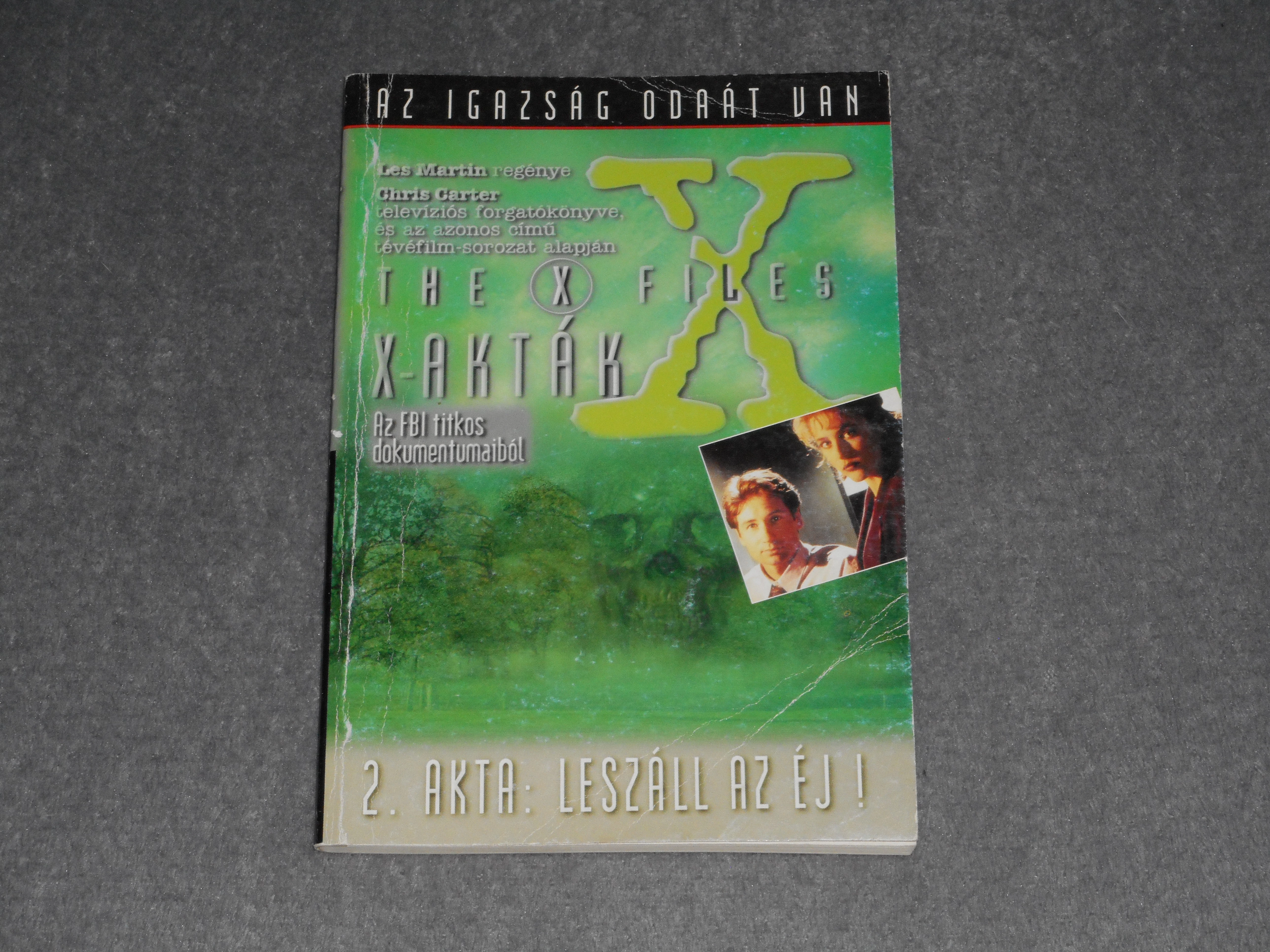 Les Martin - Az X-akták - 2. akta - Leszáll az éj!